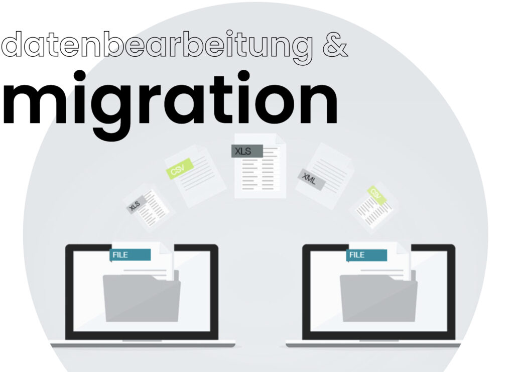 datenbearbeitung & -migration